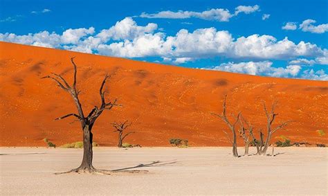  Les étoiles du Néant : Un voyage fantastique à travers les paysages oniriques de l'Afrique du Sud